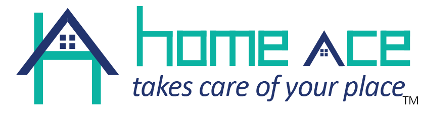 HomeAce logo wide low
